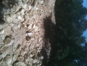 Site Work