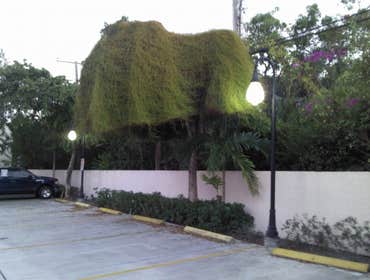 Photos by CER Electrical Services Inc of Florida #7 Existing site pole lighting upgrade to LED lamps & Upgrade to new LED sign lighting