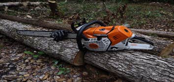 Photos by Scott's Stump Grinding and Tree Service #1
