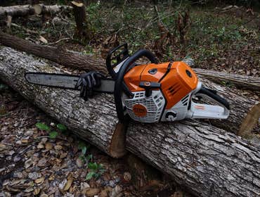 Photos by Scott's Stump Grinding and Tree Service #1