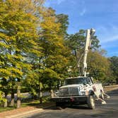 Photos by Rg Tree Services #3