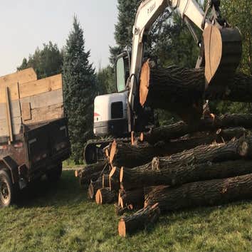 Photos by Hyperion Construction #1 Drop and remove a large Sugar Maple