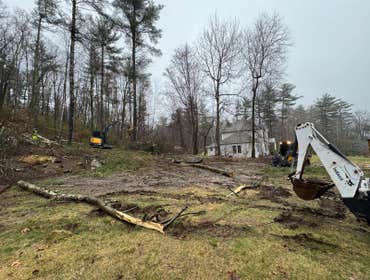 Photos by Yandi's Tree Service #27