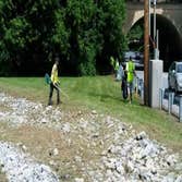 Weed removal from Norland Ave