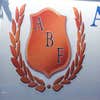Abf Painting LLC logo