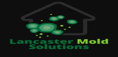Photos by Lancaster Mold Removal Solutions #1