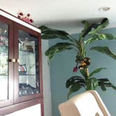Photos by Skylina Home Improvement Inc #2