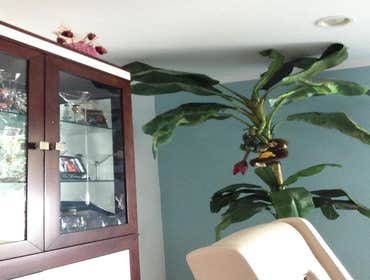 Photos by Skylina Home Improvement Inc #2