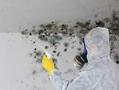 Photos by the Professional Touch #1 The Professional Touch provides expert mold remediation and mold removal services in Iowa Falls, IA. Our certified 