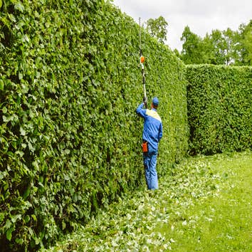 Las Vegas Landscaping Services