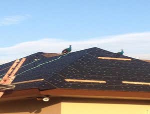 Works by Istueta Roofing