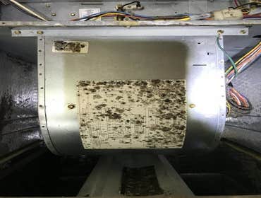 Photos by Speedy AC Duct Cleaning Service® #1