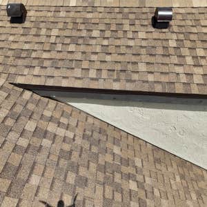 Photos by Ron Bell #1