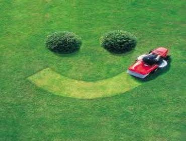 Machado's Landscape Construction We offer a variety of services from planning and design to installation and maintenance which are oriented to the nee