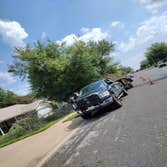 Photos by Nava Tree Services #3
