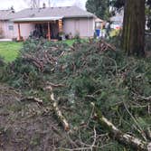 Debris Removal