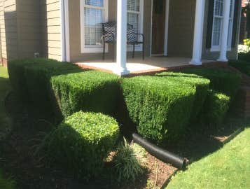 Photos by Don Cele Landscaping #1