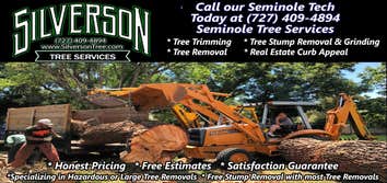 Photos by Silverson Tree Services #1