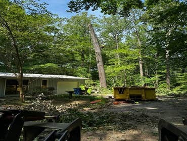 Flores Tree Services General & Landscaping