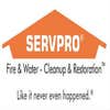 Servpro of Fallbrook and South Oceanside logo