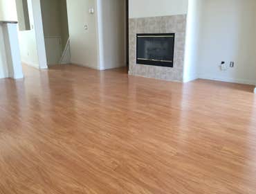 Gunstock oak