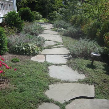 Photo(s) from Landscape Architectural Services Inc