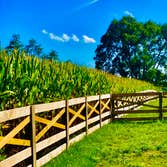 Estate Fence
