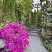 Palm Beach Paving Services