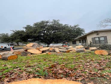 Photos by Kings Tree Service & Landscaping Co #20