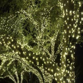 Holiday Lighting and Decor by J Bell