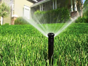 Photos from Catalyst Landscape Solutions