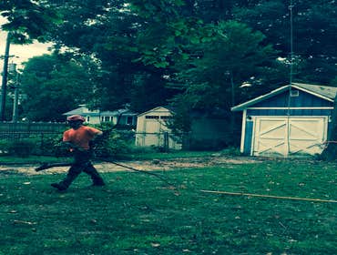 Tree Service South Jersey