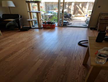 Canadian slow-growth maple hardwood floor installation, engineered flooring