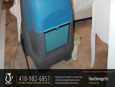 Carpet Cleaning & Drying