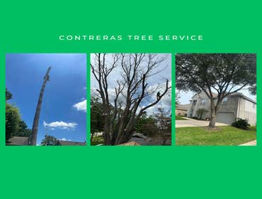 Photos by Contreras Tree Services #27