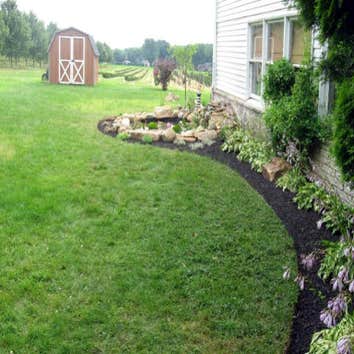 Landscape Project 5