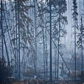 Photos by Aggieland Smoke Damage Experts #1