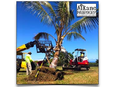 Aikane Landscaping & More