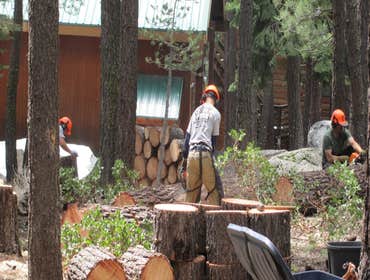 Tree Removals Technical tree removals over houses.