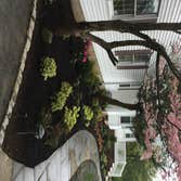 Landscaping in USR,NJ
