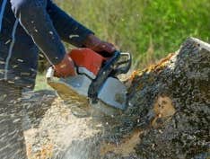 Photos by Capital City Tree Removal Co #1