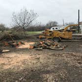 Excellent Prices Tree Services