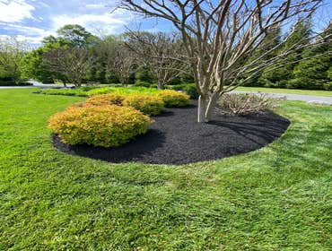 Photos by Sg Gonzalez Landscaping & Maintenance LLC #1