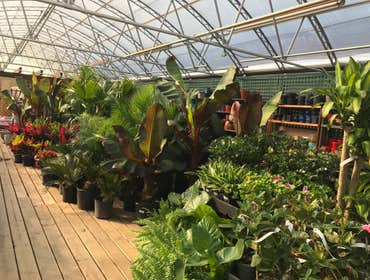 Photos by Decker's Nursery #1