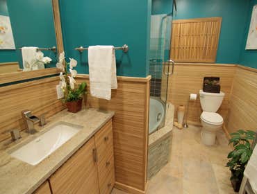 Zebrawood Bathroom