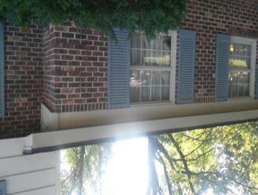 New Fascia