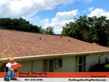 Photos by Red dog's Roofing of Florida #1