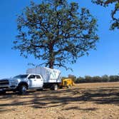 Photos by Navarro Tree Service Inc #3