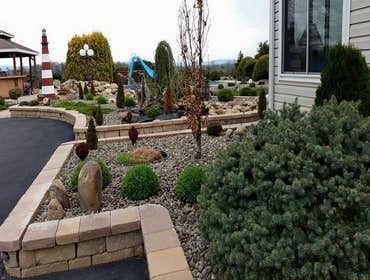 Photos by Amigos Lawn Care & Tree Service #1