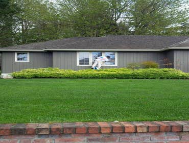 Photos